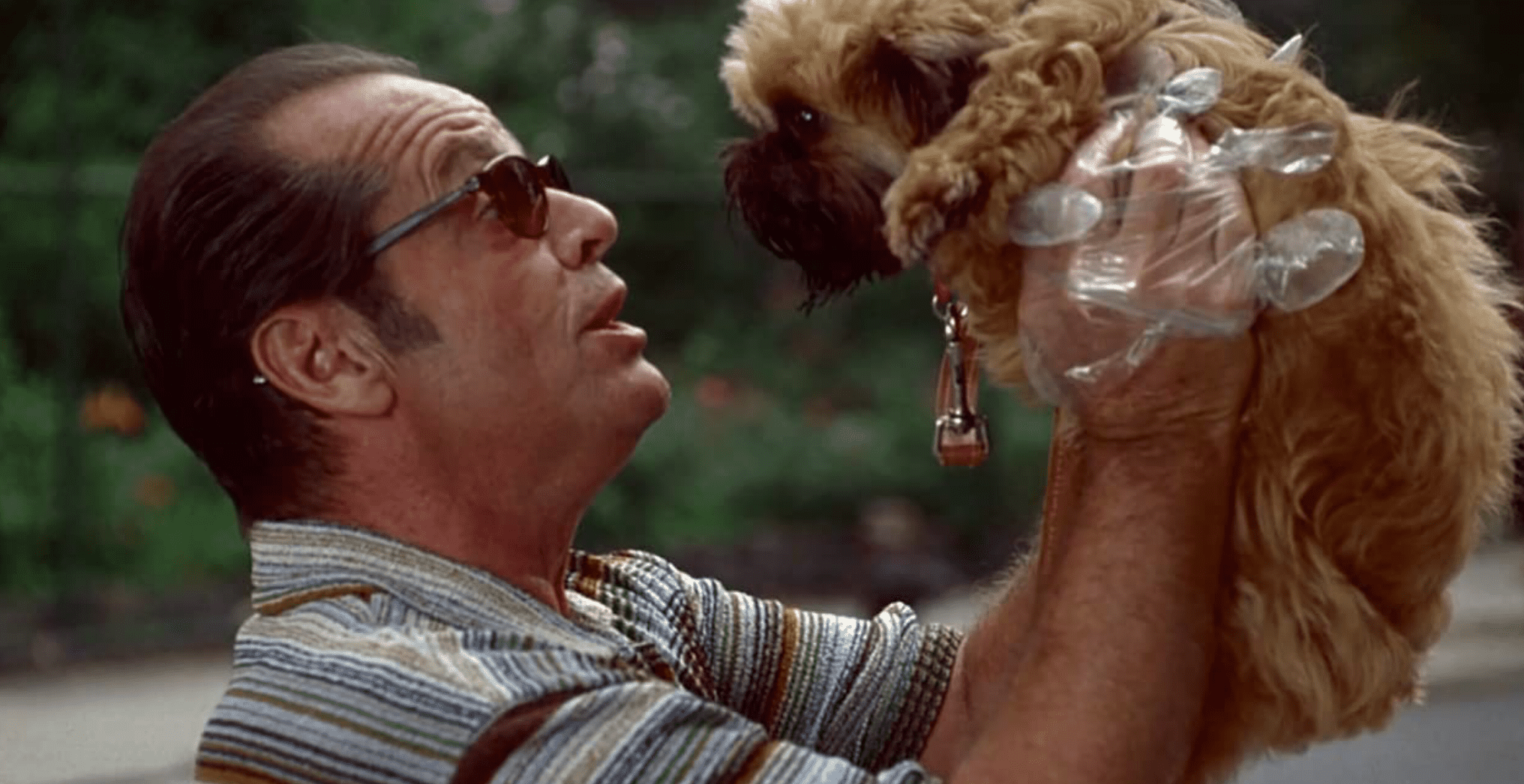 Jack Nicholson holds up a puppy in this scene from Hulu